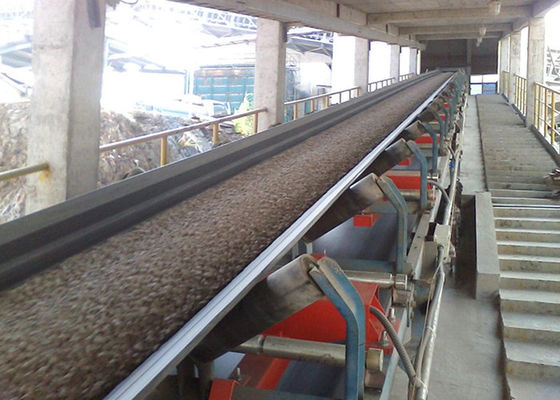 Βαθμός τροφίμων Weigher ζωνών μεταφορέων 220VAC 600mm στην αλατισμένη βιομηχανία